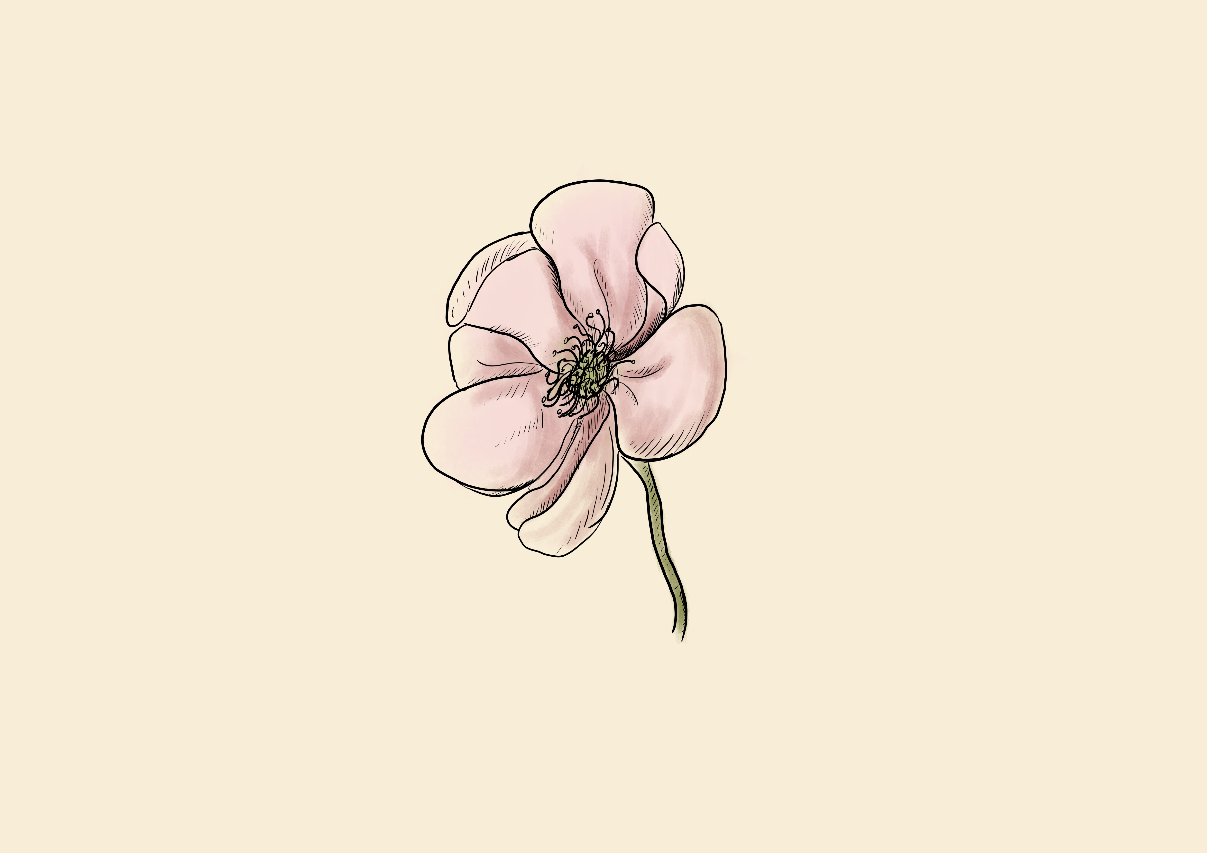 Botany of the Dark Ones