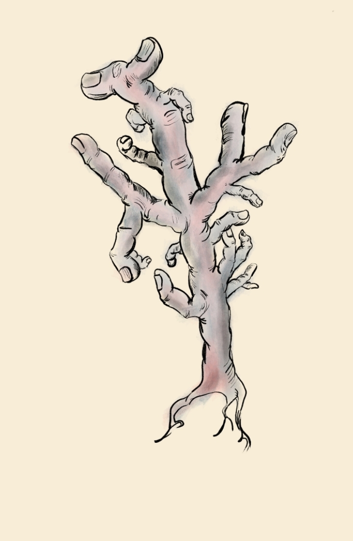 Botany of the Dark Ones