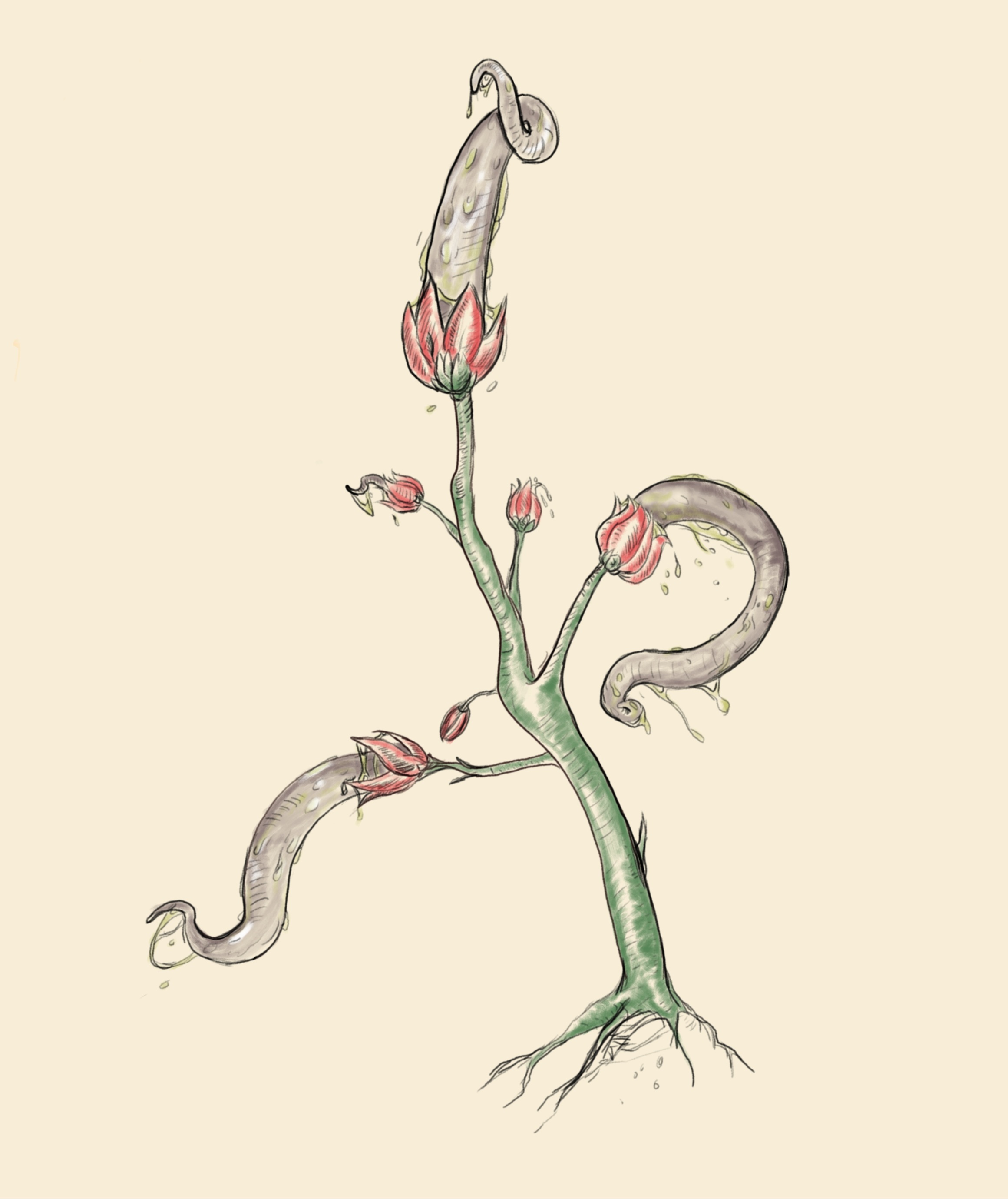 Botany of the Dark Ones