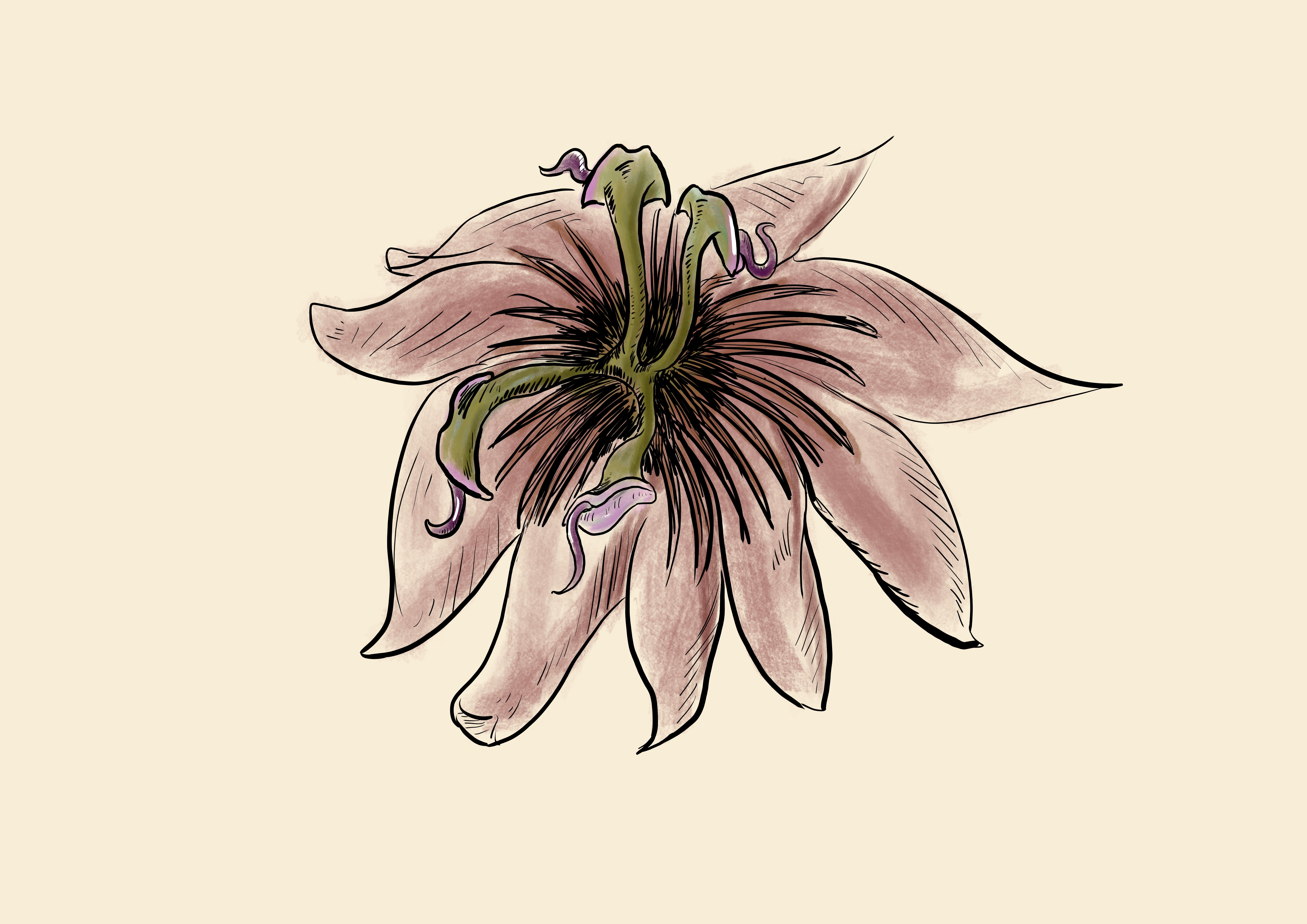 Botany of the Dark Ones