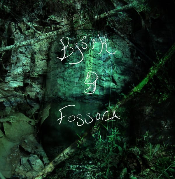 Björk - Fossora